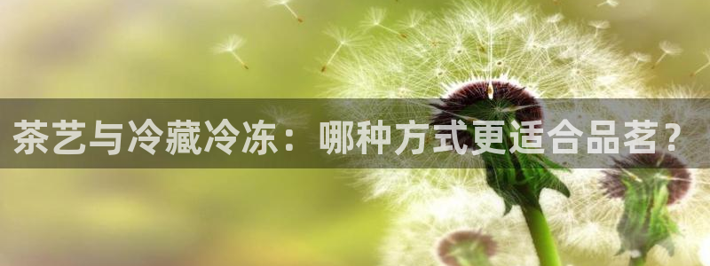 摩登7软件是什么原因