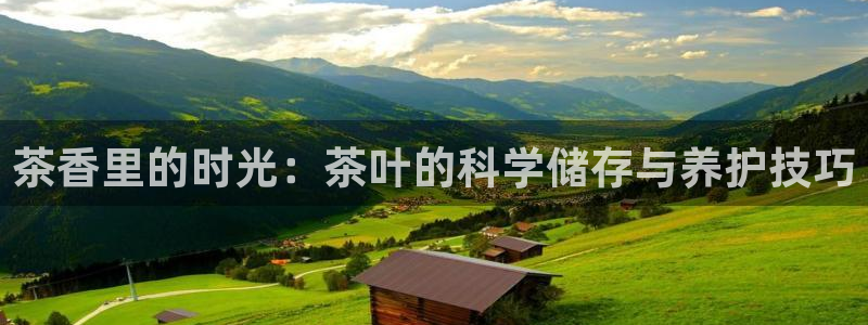 摩登7官方