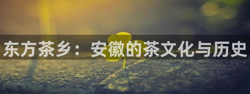 摩登7软件是什么原因