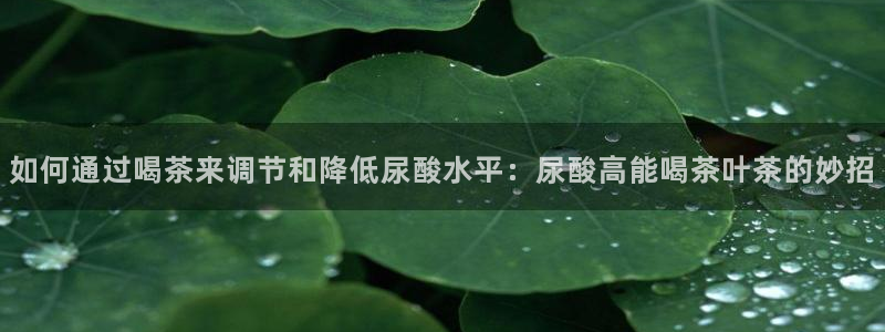 摩登7黑钱