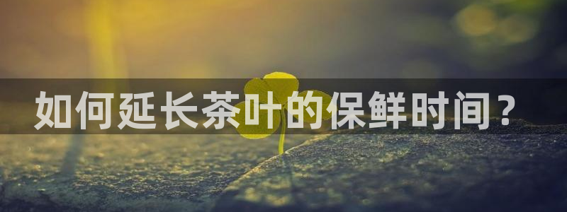 摩登7左3299O7