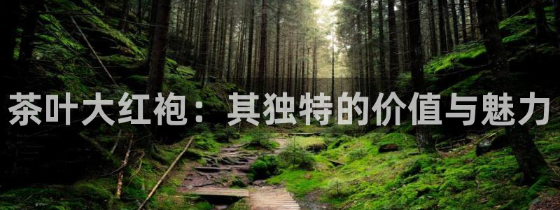 摩登7平台总代理