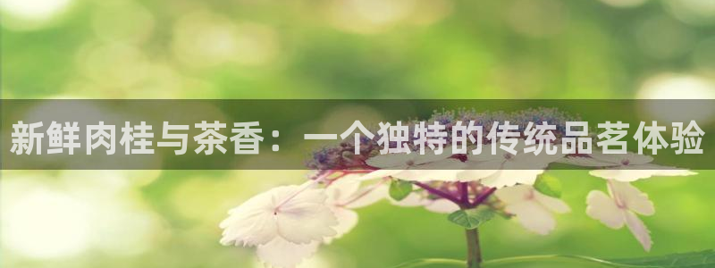 摩登6后7O667