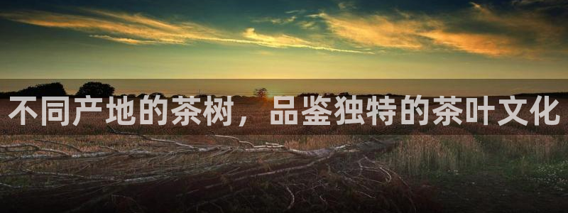 摩登7平台登录下载