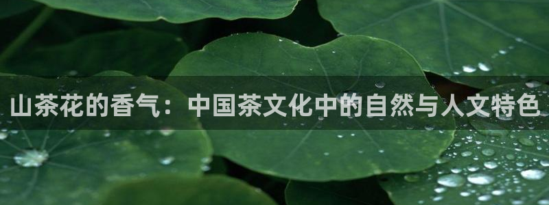 摩登系列摩登7