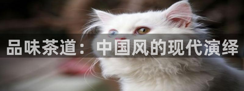 摩登招商7约22650