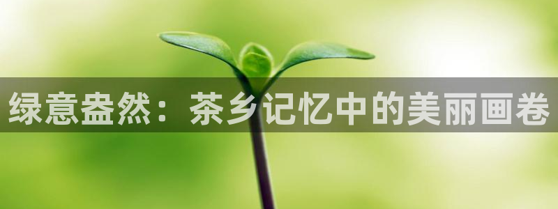 摩登7日3299O7