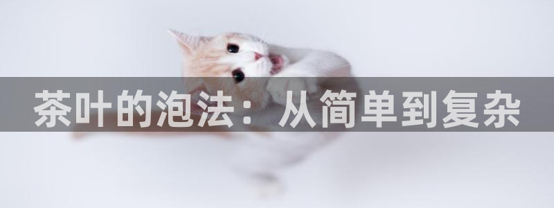 7牌摩登