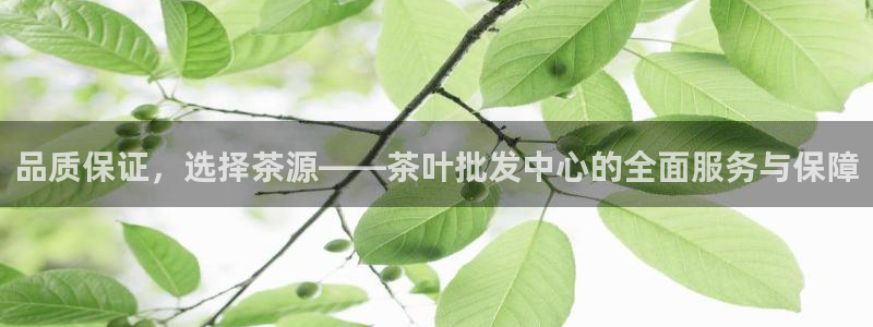 摩登7上级
