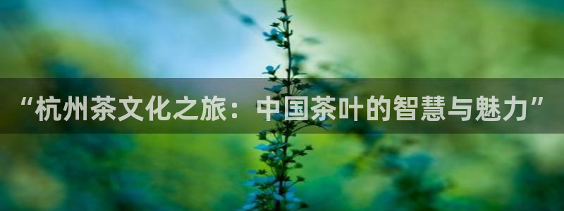 摩登招商7快22650