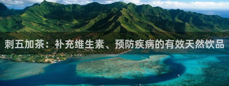 摩登7下载地址