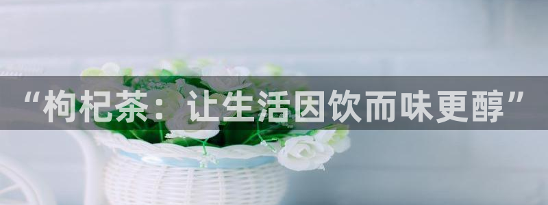 摩登招商7佳22650
