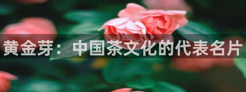 摩登7天3299O7