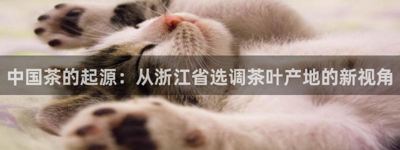 摩登7主管亲333OO