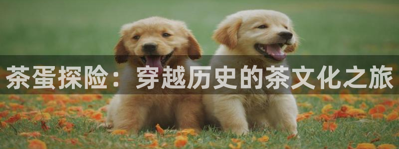摩登7夜判官333OO