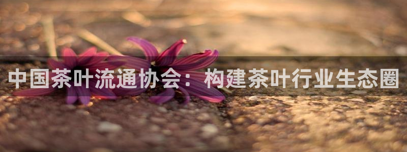 摩登7怎么联系客服