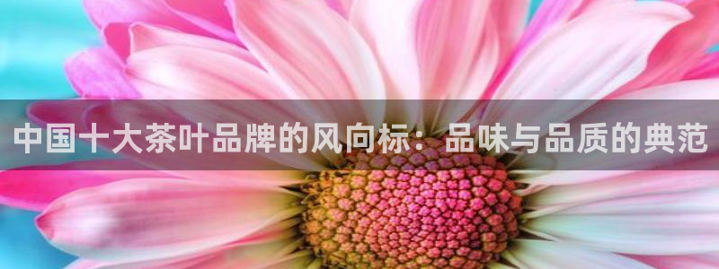 摩登7官方
