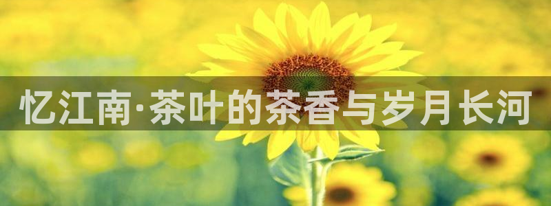 摩登系列摩登7
