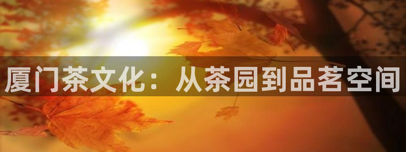 摩登5吕7O667