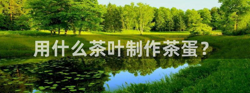 摩登招商丨金手指科捷7