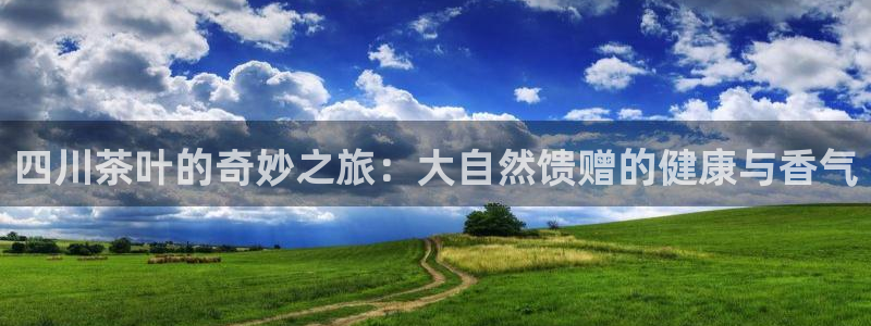 摩登注册尽7O777