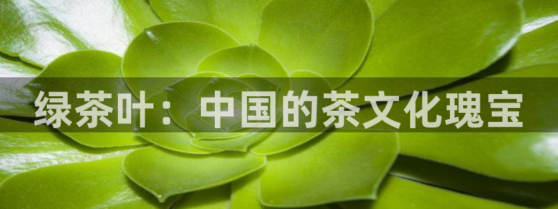 摩登招商7快22650