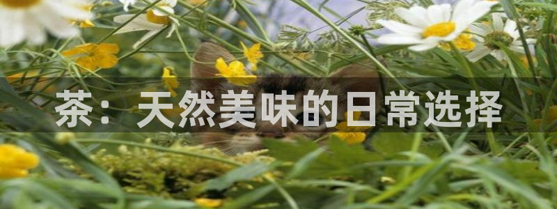 摩登7娱乐平台怎么样