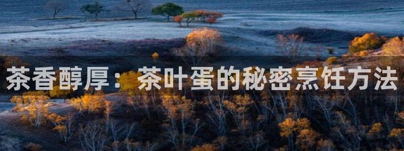 摩登7平台周7O777