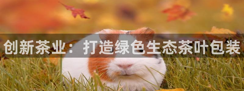 摩登7会员登录入口