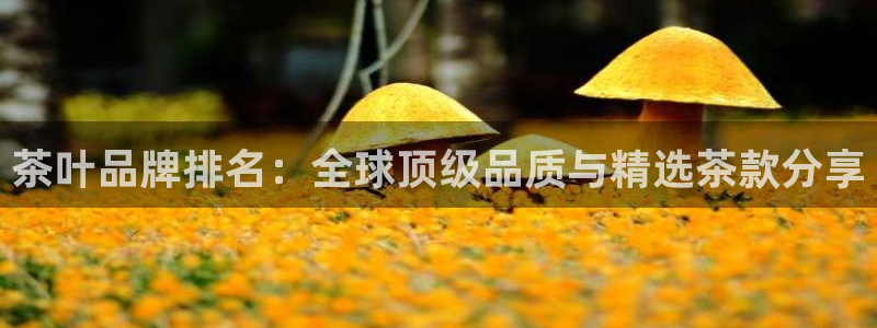 摩登6跟摩登7的区别