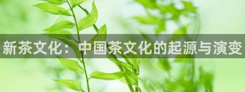 摩登7官网在哪下载