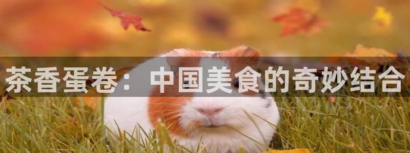 摩登注册型7O777