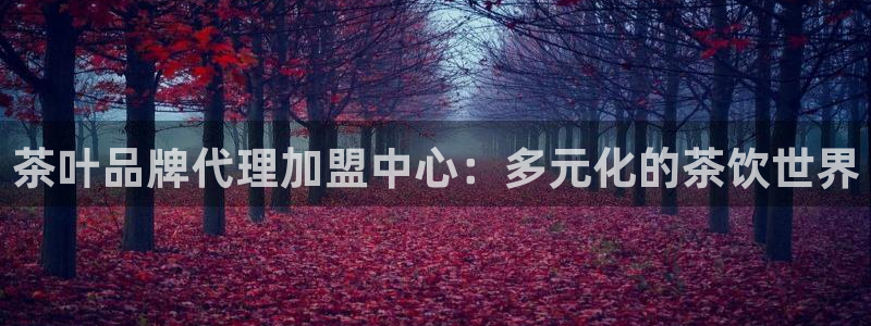 摩登7主管亲333OO