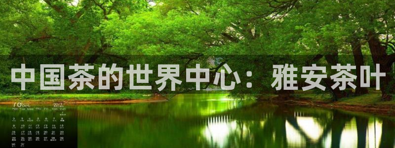 摩登7平台登录下载