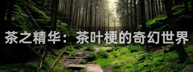 摩登7娱乐找qv382223