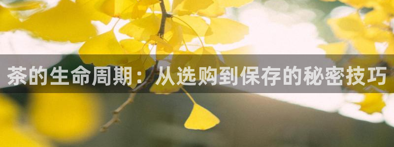 摩登7注册滴qv382223